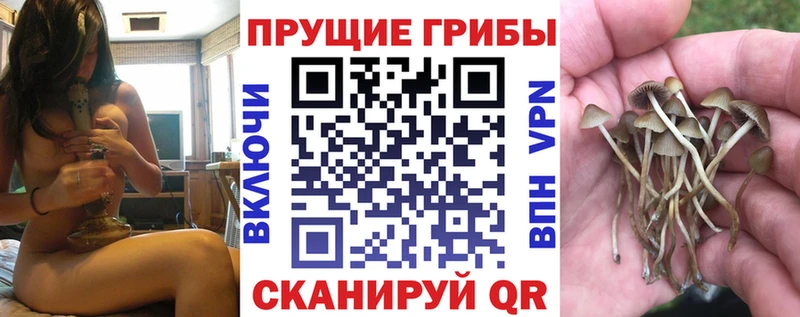 купить наркоту  Мышкин  Псилоцибиновые грибы мухоморы 